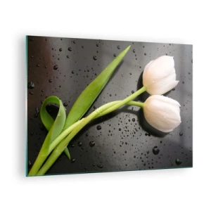 Üveg kép - Fehér tulipánok vízcseppekkel a háttérben - 70x50cm - Tavaszi fonódás - Modern fali dekoráció nappalihoz és hálószobához ARTTOR