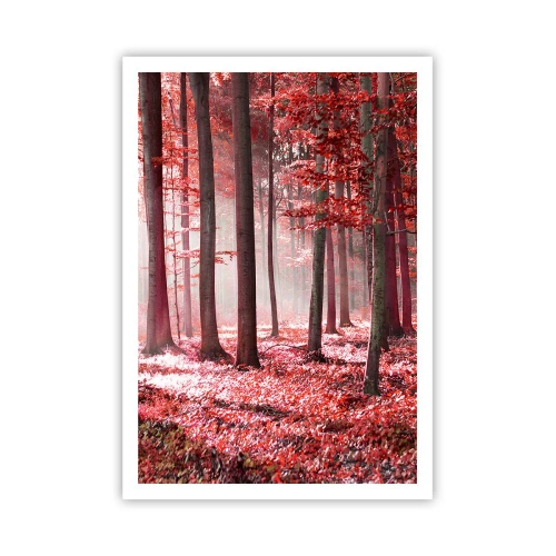 Poszter - A piros különösen szép - 70x100 cm