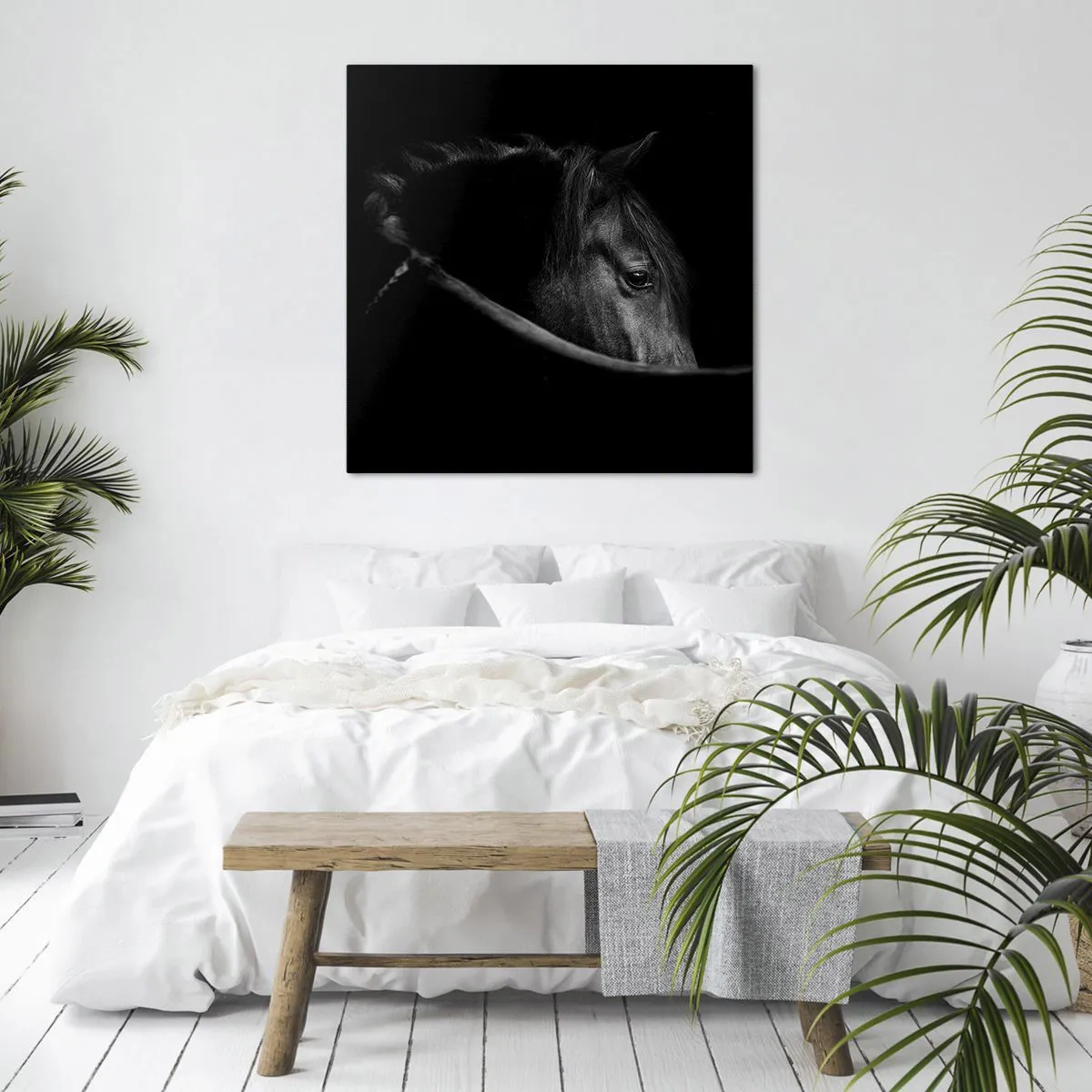 Vászonkép - Fekete herceg - 50x50 cm