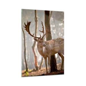 Üveg kép - A fiatalság fénye - 50x70 cm