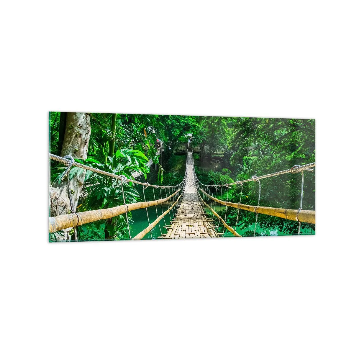 Üveg kép - Majomhíd a zöld felett - 120x50 cm