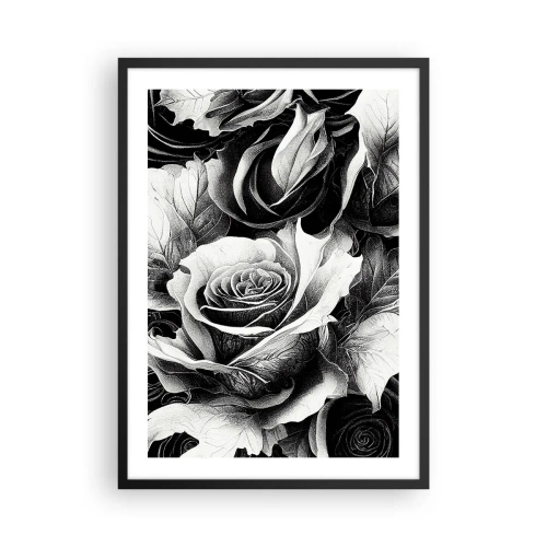Poszter fehér keretben - Fekete-fehér rózsák kompozíciója kifejező fény-árnyékkal - 50x70cm - Mindig a királynő - Modern fali dekoráció nappalihoz és hálószobához ARTTOR