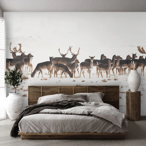 Öntapadós Fotótapéta Deluxe Sticker - Közelednek az ünnepek? - Állatok, Szarvas, Természet - 350x256 cm