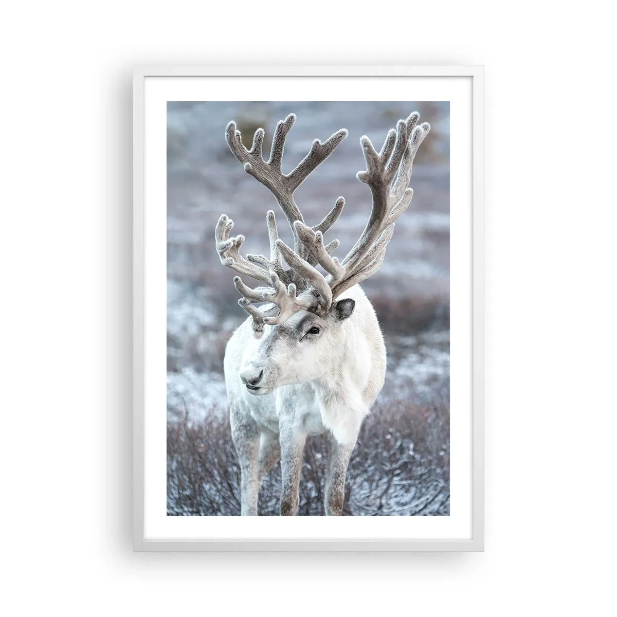 Poszter fekete keretben - Portré a napon - 50x70 cm