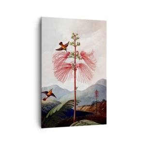 Vászonkép - Egy trópusi paradicsomban - 80x120 cm