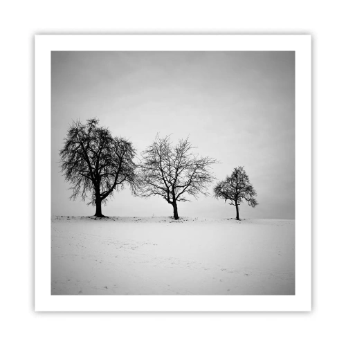 Poszter - Miről álmodoznak? - 60x60 cm