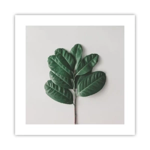 Poszter - Rajz csak a természetről - 40x40 cm