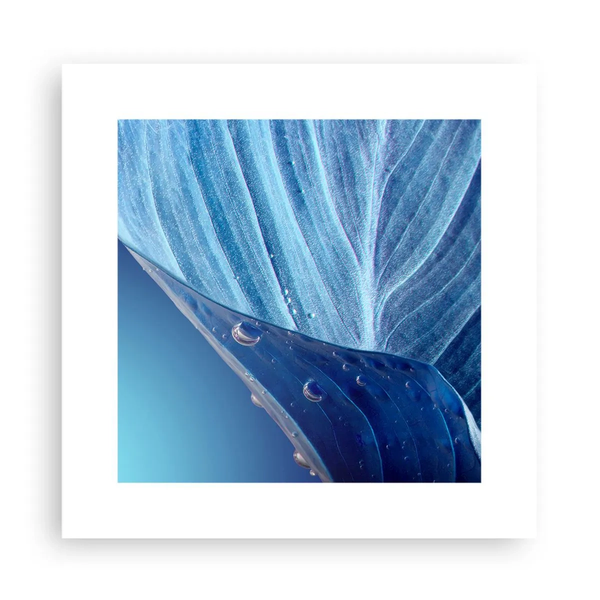 Poszter - A kék rejtett cseppjei - 30x30 cm