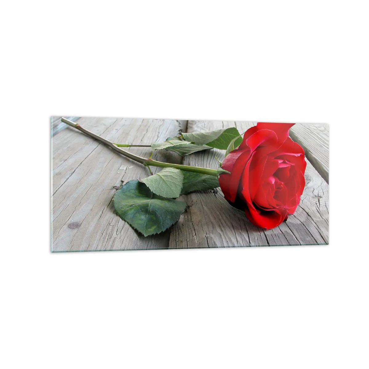 Üveg kép - Egy tanulmány Scarletben - 120x50 cm