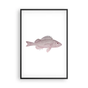 Poszter fehér keretben - Nagyszemű hal - 61x91 cm