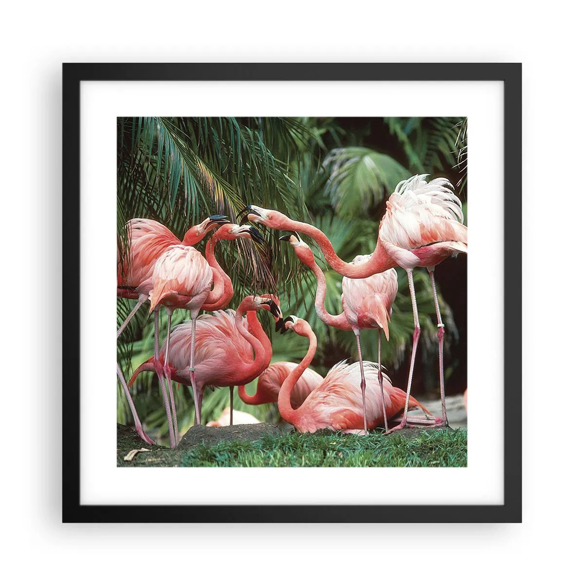 Poszter fehér keretben - Délutáni pletyka - 40x40 cm