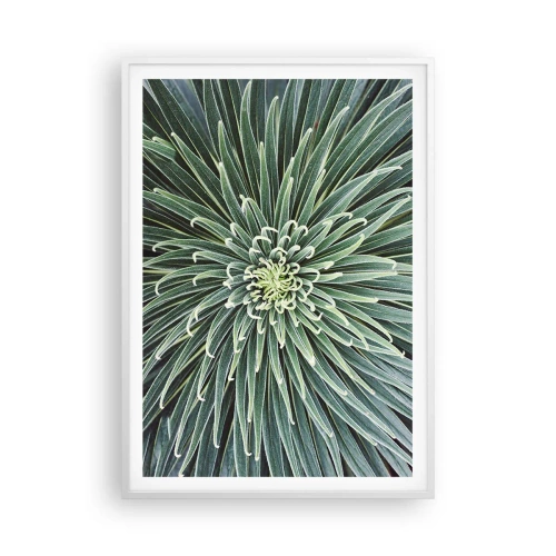 Poszter fekete keretben - Csillag születik - 70x100 cm