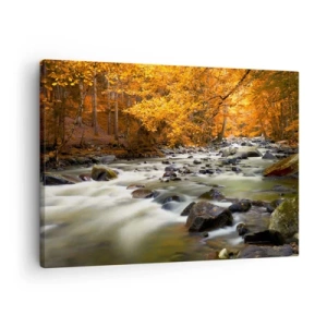 Vászonkép - Egy patak egy őszi erdőben, aranyló levelekkel körülvéve - 70x50cm - Egy patak az aranyerdőben - Modern fali dekoráció nappalihoz és hálószobához ARTTOR