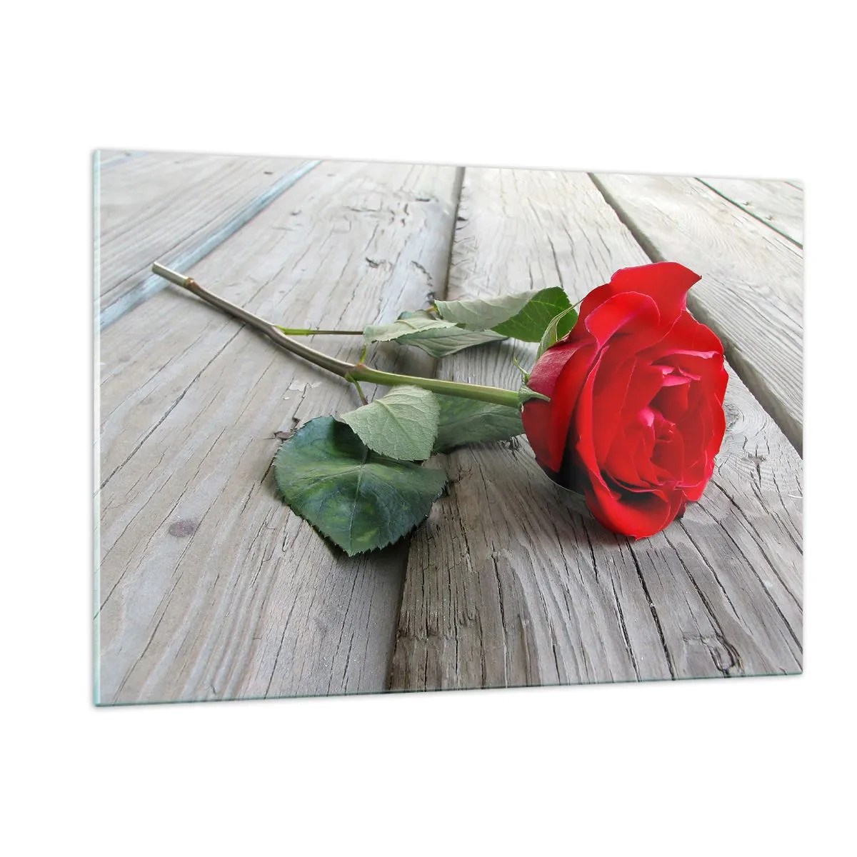 Üveg kép - Egy tanulmány Scarletben - 120x80 cm