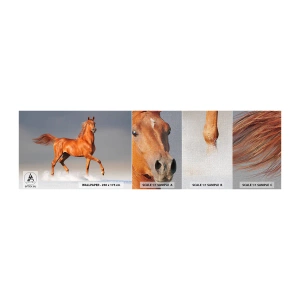 Fotótapéta Minta Premium Canvas - Táncoló szépség - Állatok, Ló, Természet - 100x30 cm