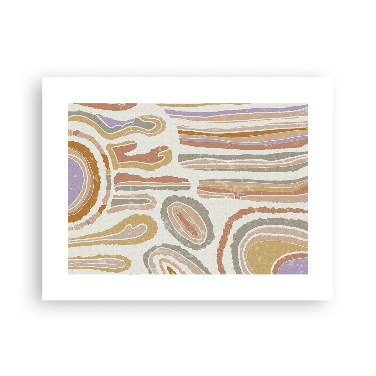 Poszter - Színes keresztmetszetek - 40x30 cm