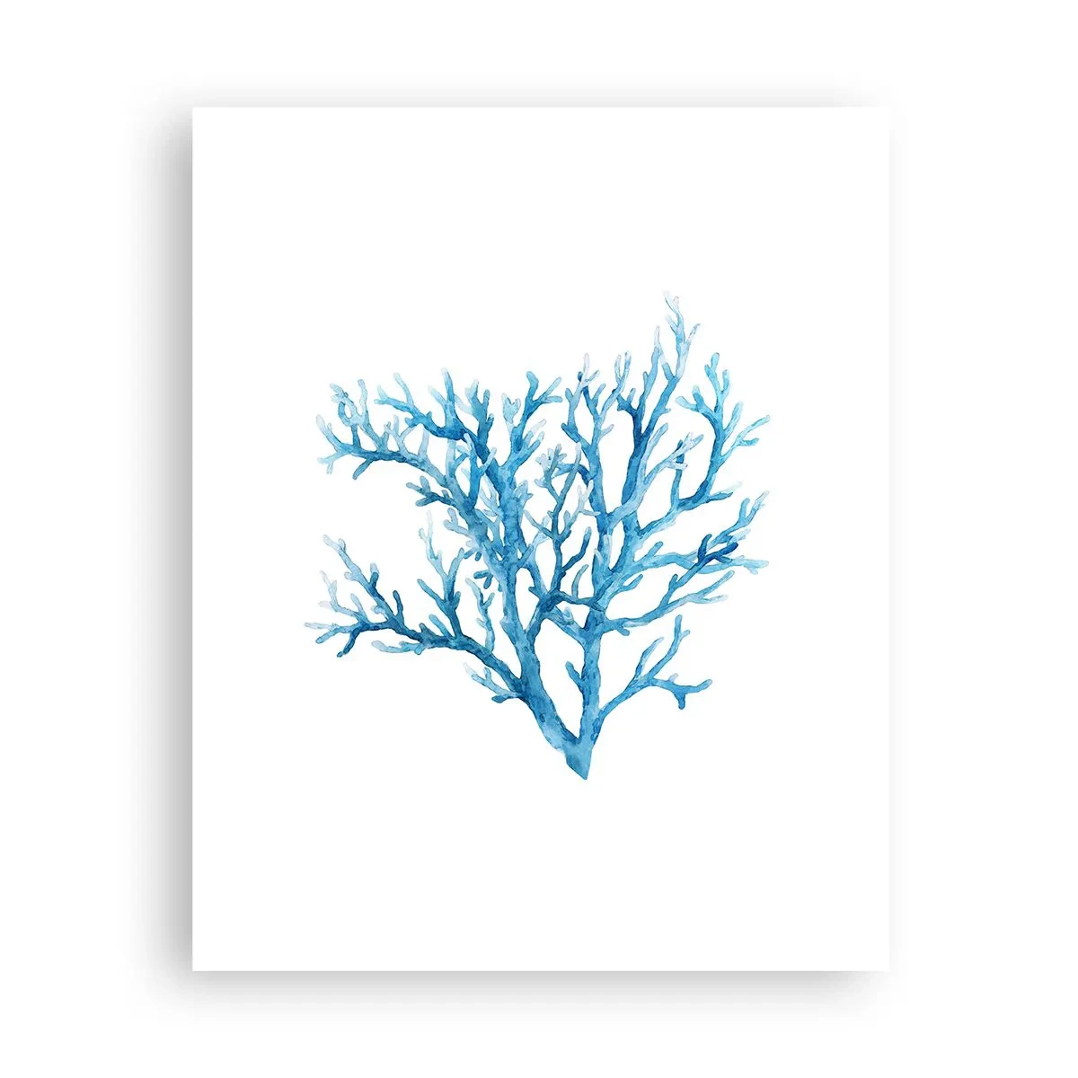 Poszter - Tengeri filigrán - 40x50 cm