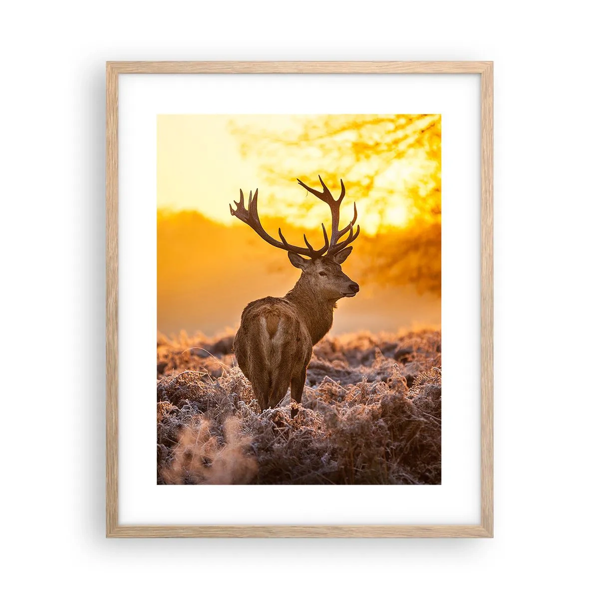 Poszter világos tölgy keretben - Az őszi erdő királya - 40x50 cm