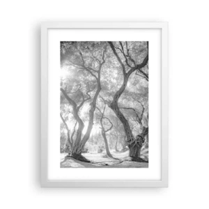 Poszter fekete keretben - Egy olajfaligetben - 30x40 cm