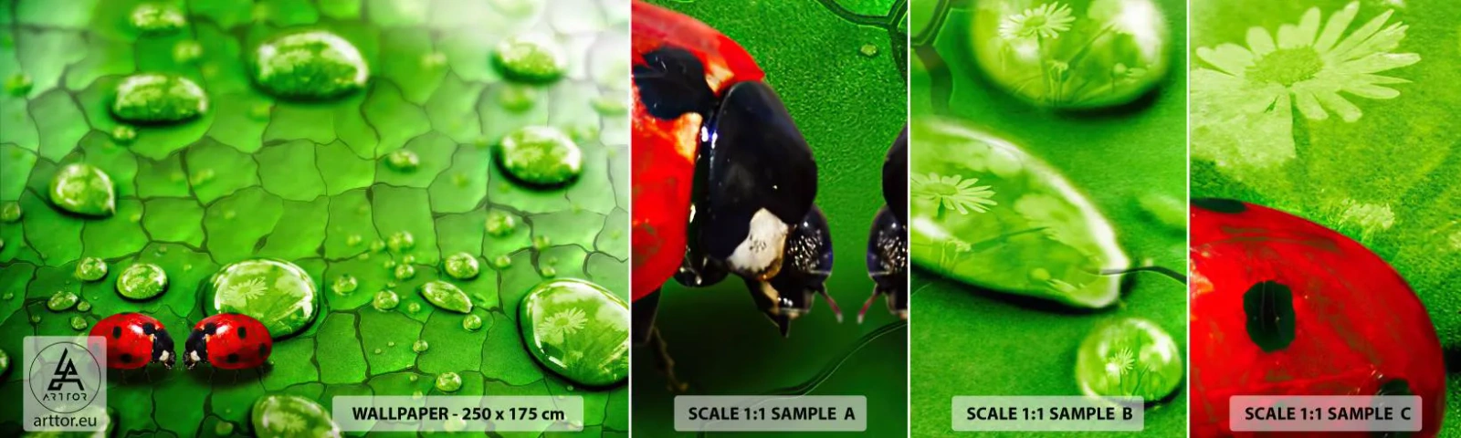 Fotótapéta Minta Standard Eco - Találkozás a zöldben - Természet, Katicabogár, Egy csepp víz - 100x30 cm