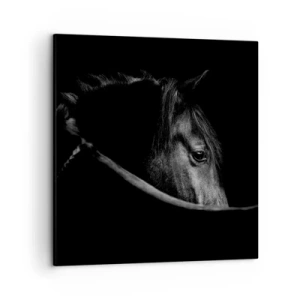 Vászonkép - Fekete herceg - 50x50 cm