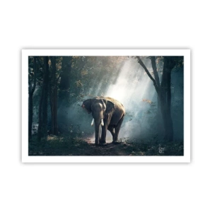 Poszter - Nyugodt séta - 91x61 cm