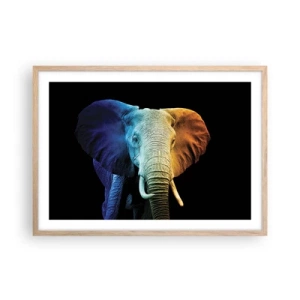 Poszter világos tölgy keretben - Excentrikus, nem különc - 70x50 cm