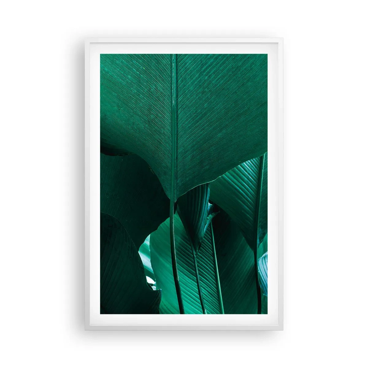 Poszter fekete keretben - A fény felé nézve - 61x91 cm