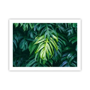 Poszter - Merüljön el a frissességben - 70x50 cm