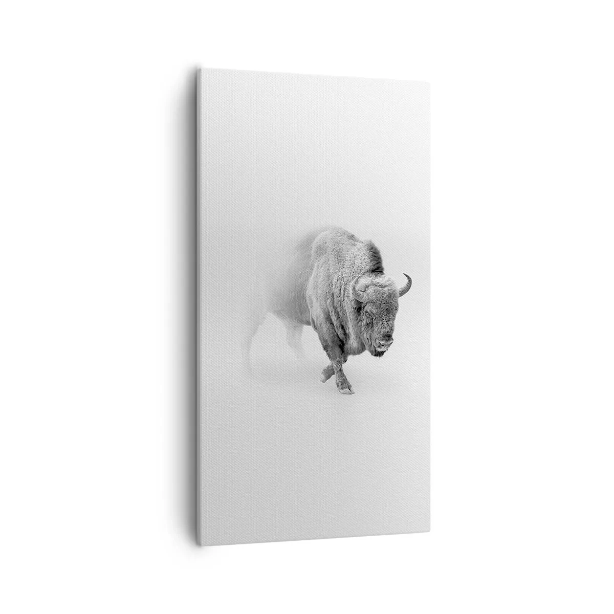 Vászonkép - A préri királya - 55x100 cm