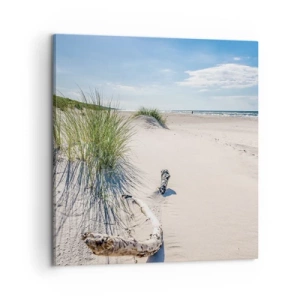 Vászonkép - A leggyönyörűbb? A Balti - 60x60 cm