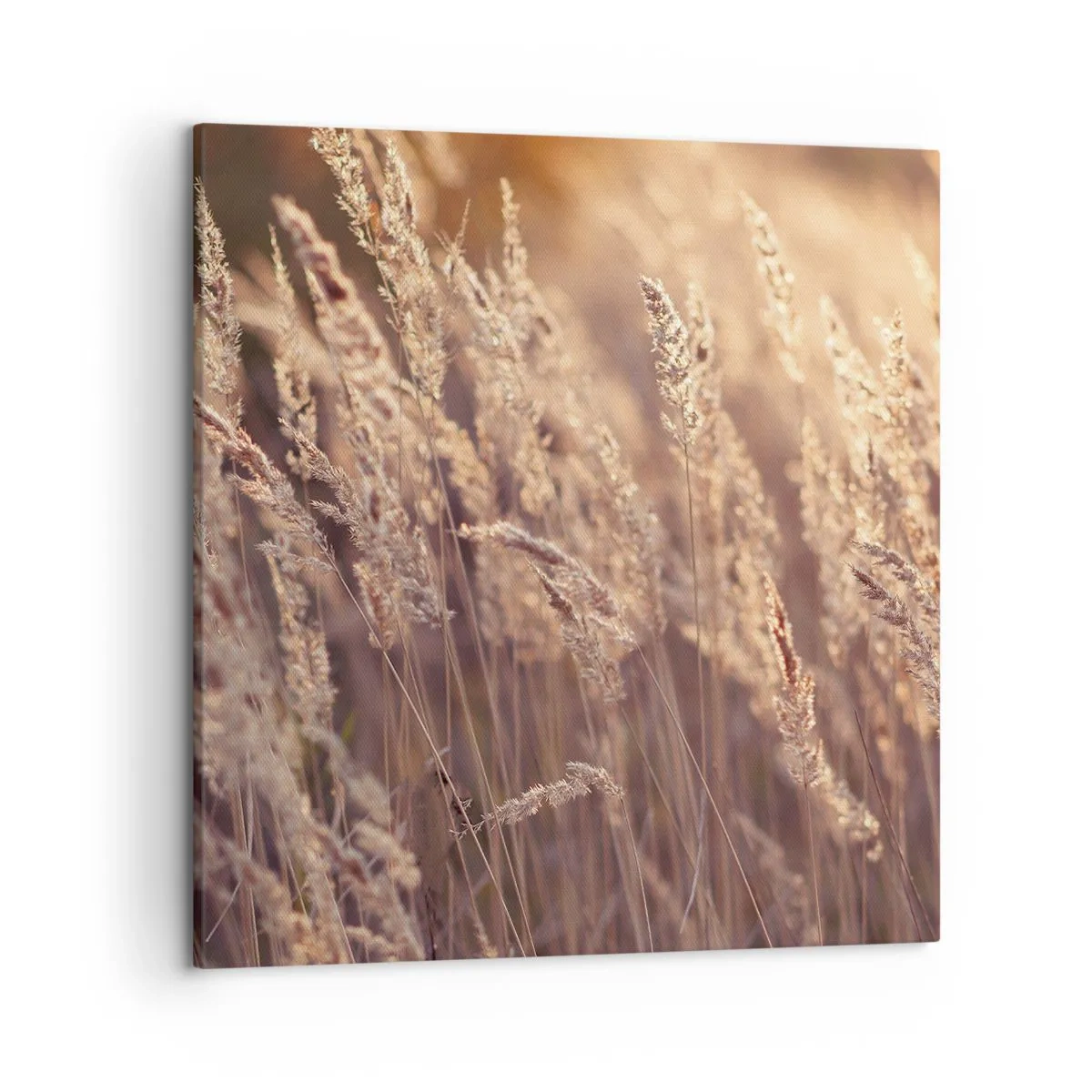 Vászonkép - Készen az ősz fogadására - 50x50 cm