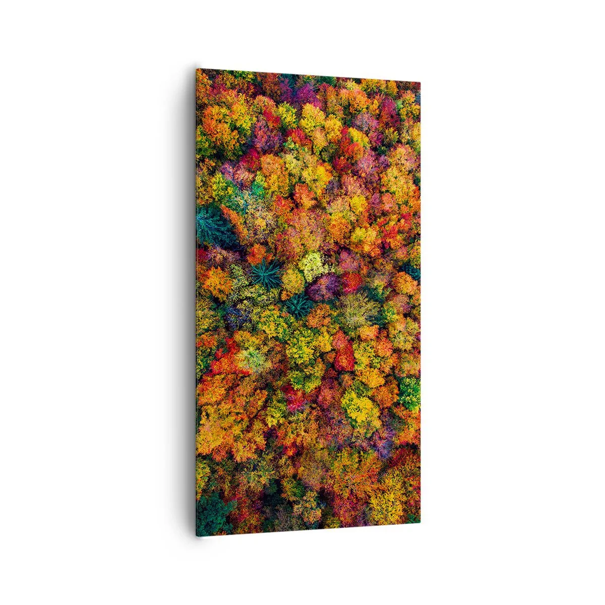 Vászonkép - Őszi facsokor - 65x120 cm