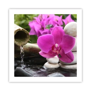 Poszter - Már pihensz - 50x50 cm