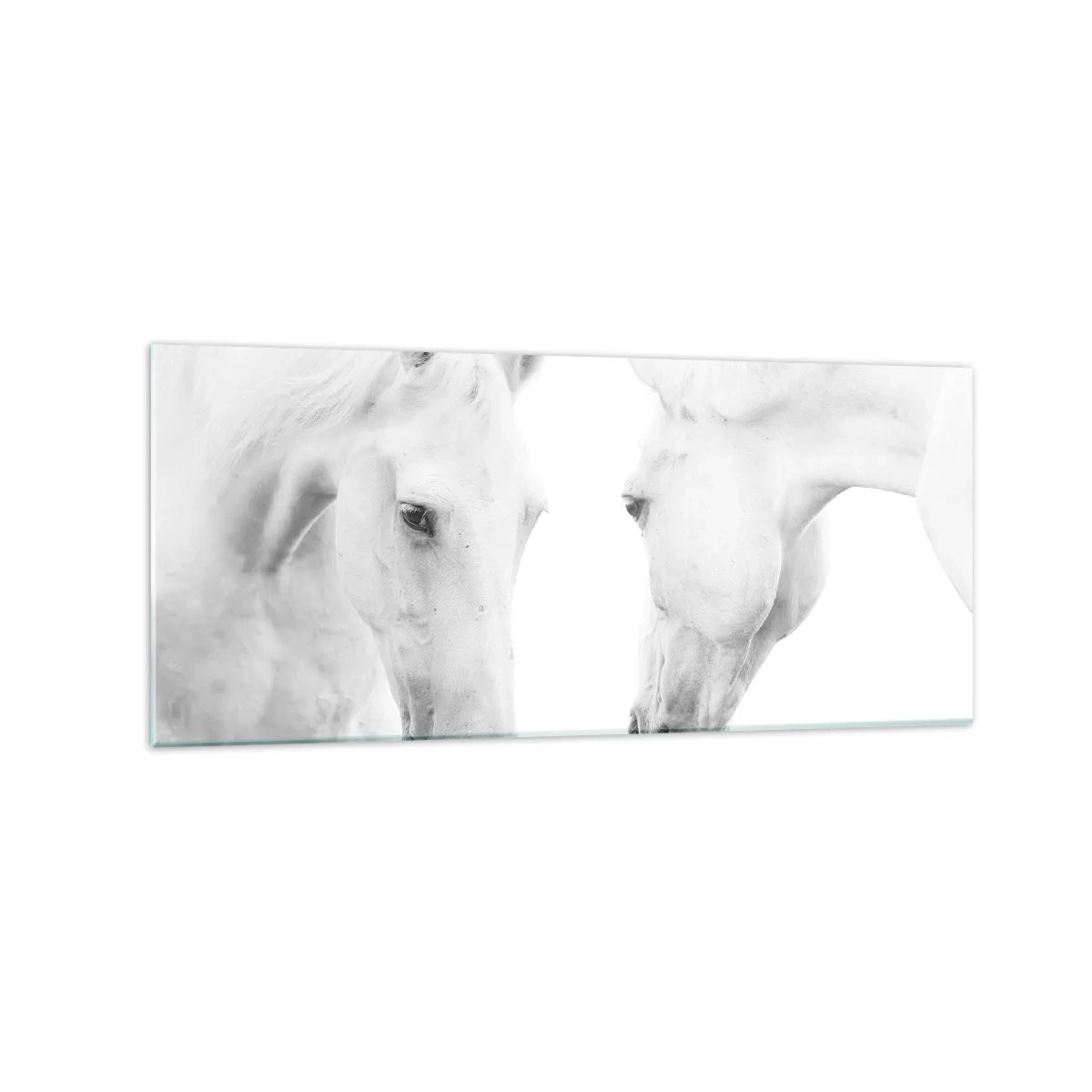 Üveg kép - Ez a barátság...? - 120x50 cm