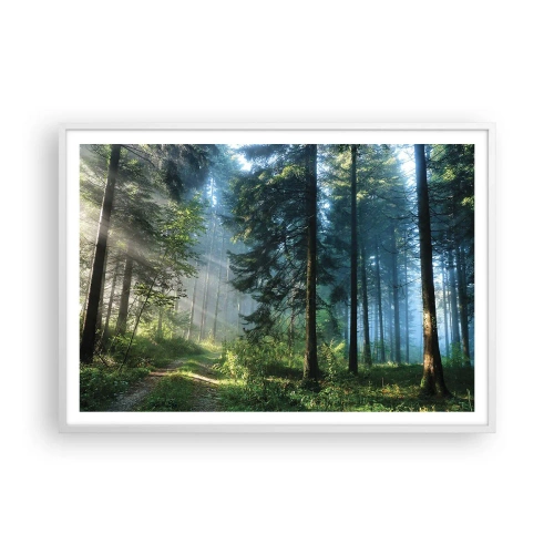 Poszter fekete keretben - Sugárzó reggel - 100x70 cm