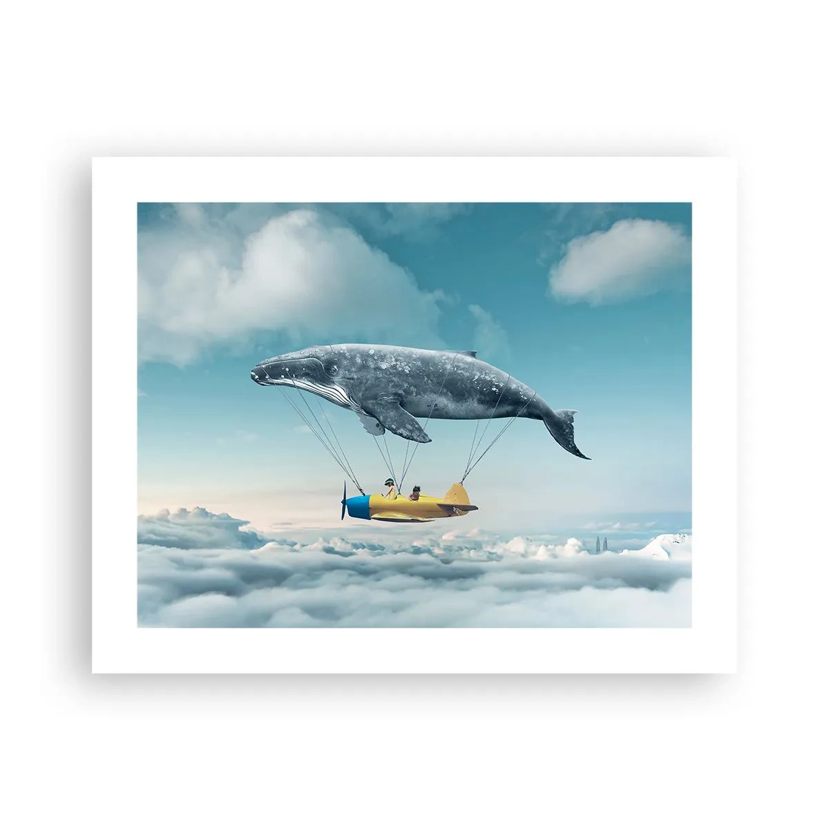 Poszter - Miért is ne? - 50x40 cm