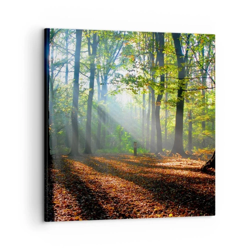 Vászonkép - Ragyogások és árnyékok - 60x60 cm