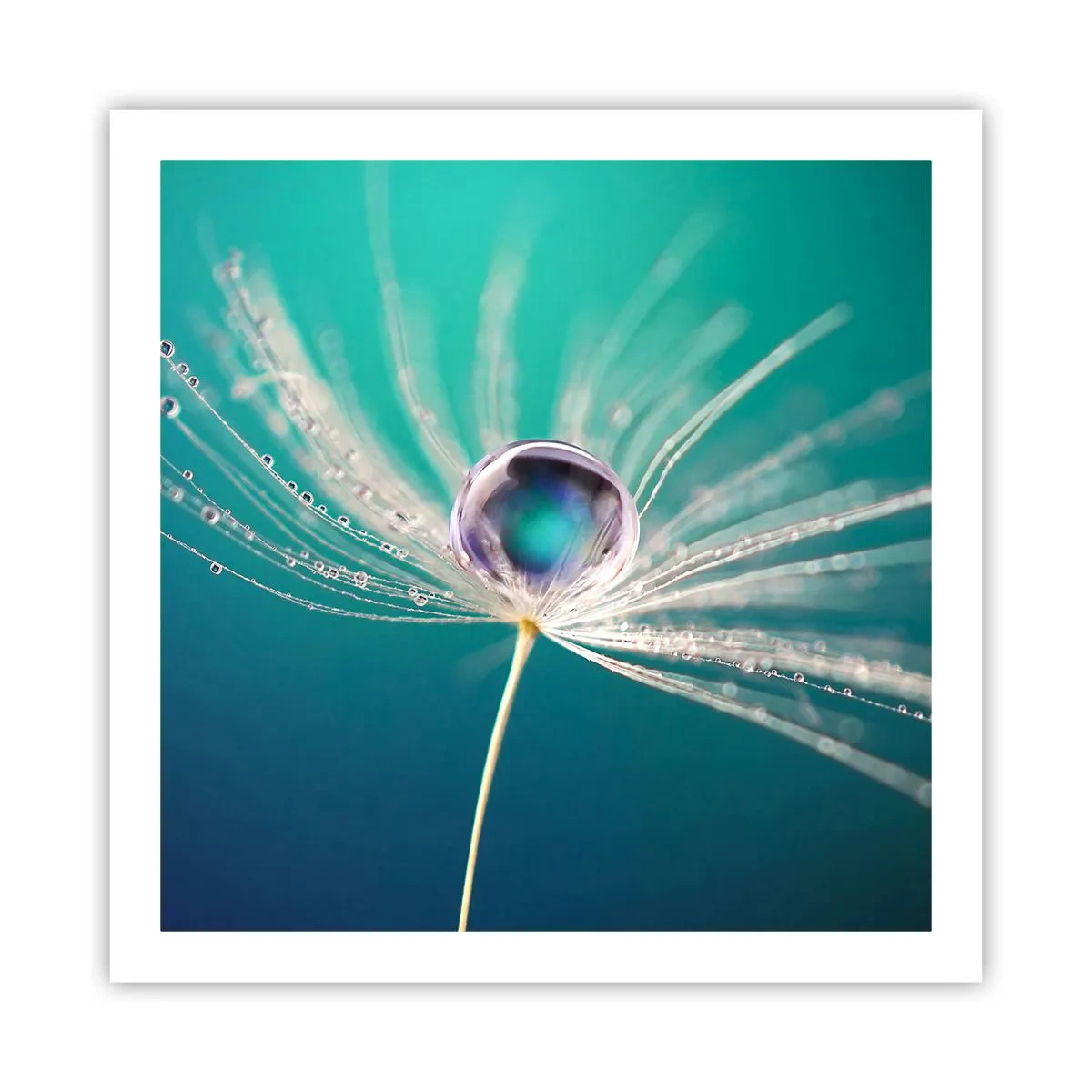 Poszter - Misztikus pillanat - 60x60 cm