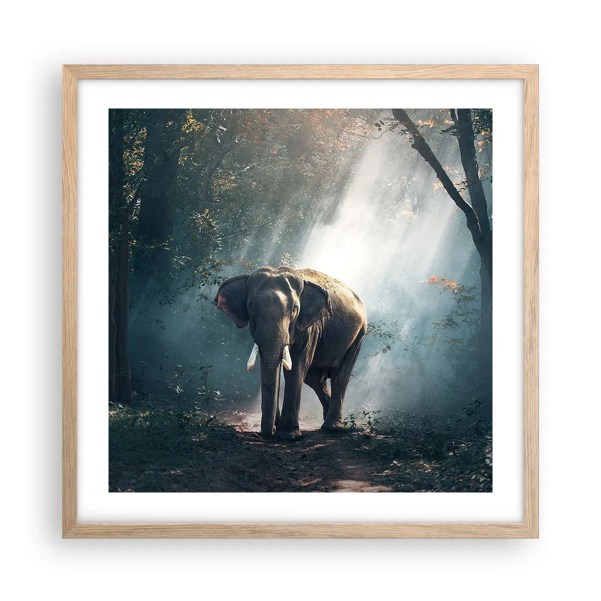 Poszter világos tölgy keretben - Nyugodt séta - 50x50 cm