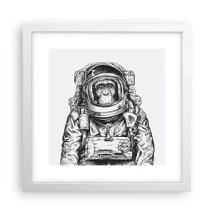 Poszter fekete keretben - Alternatív evolúció - 30x30 cm