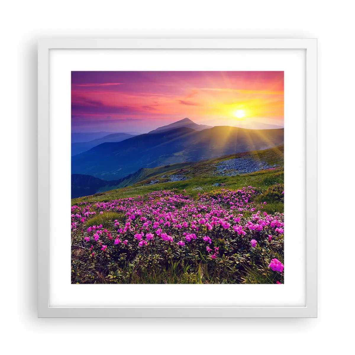 Poszter fekete keretben - … És körülötte hegyi fenyő és gyógynövények illata - 40x40 cm