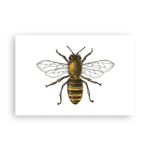 Poszter - Gyönyörű és jó - 91x61 cm