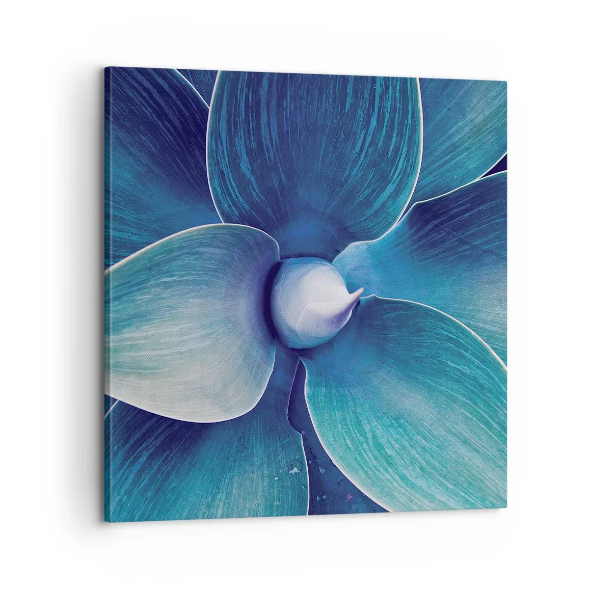 Vászonkép - Kékezve az égből - 60x60 cm