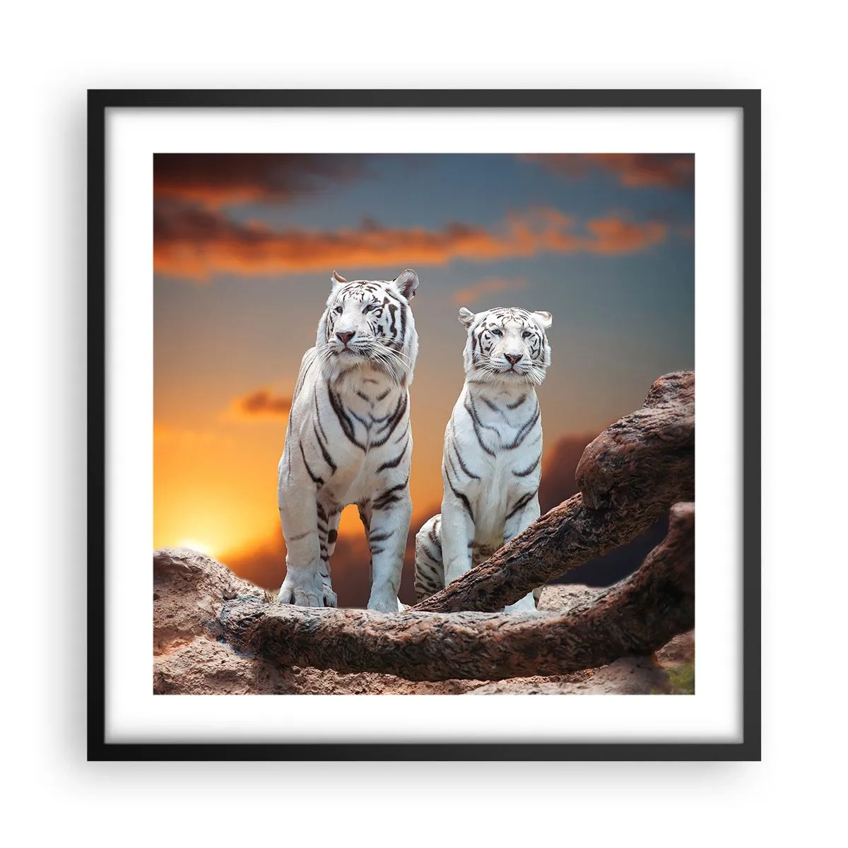 Poszter fehér keretben - Akárcsak Narnia - 50x50 cm