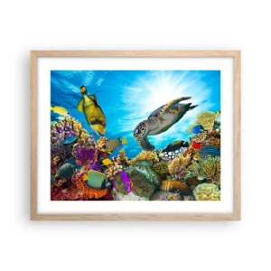 Poszter világos tölgy keretben - Korall sétány - 50x40 cm