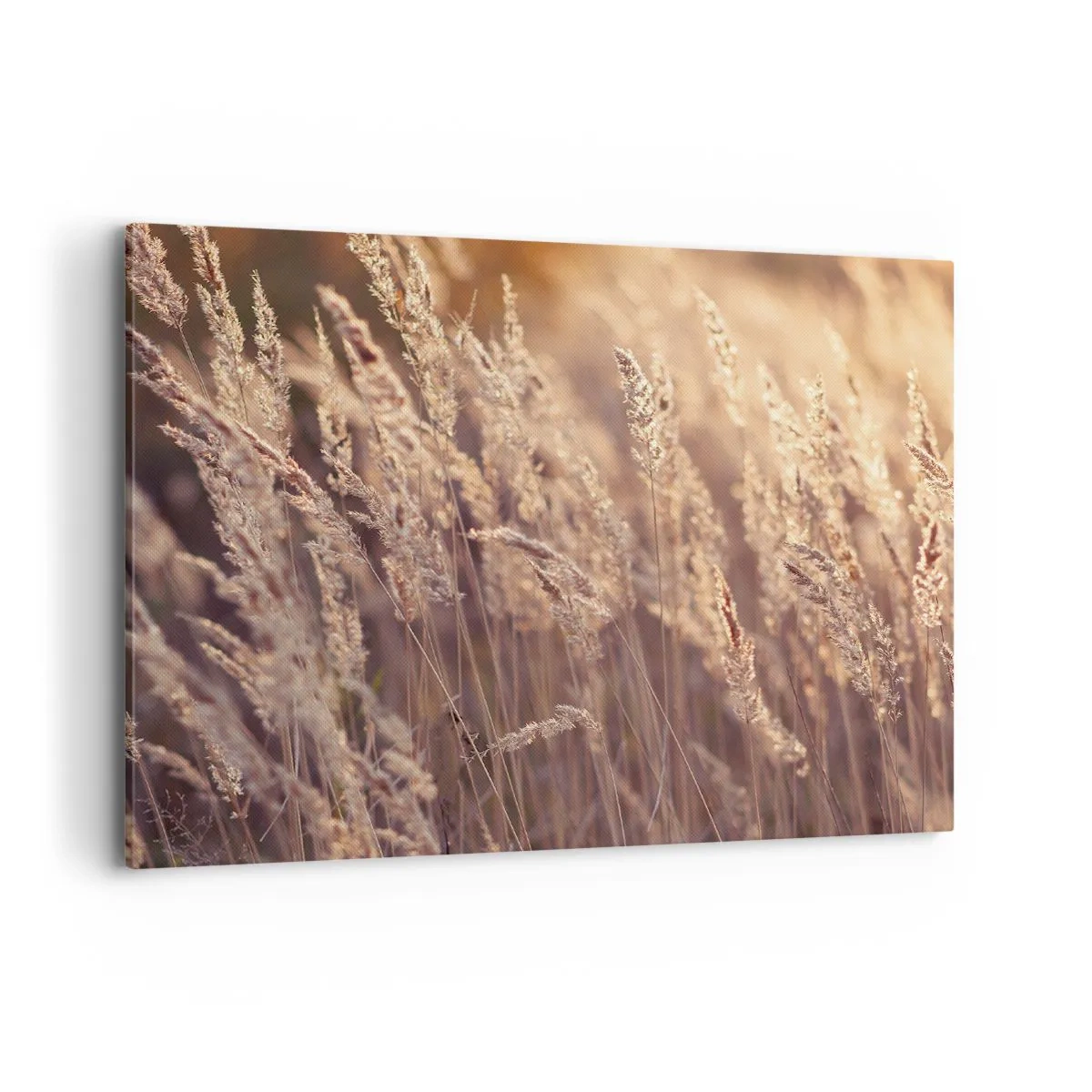 Vászonkép - Készen az ősz fogadására - 100x70 cm