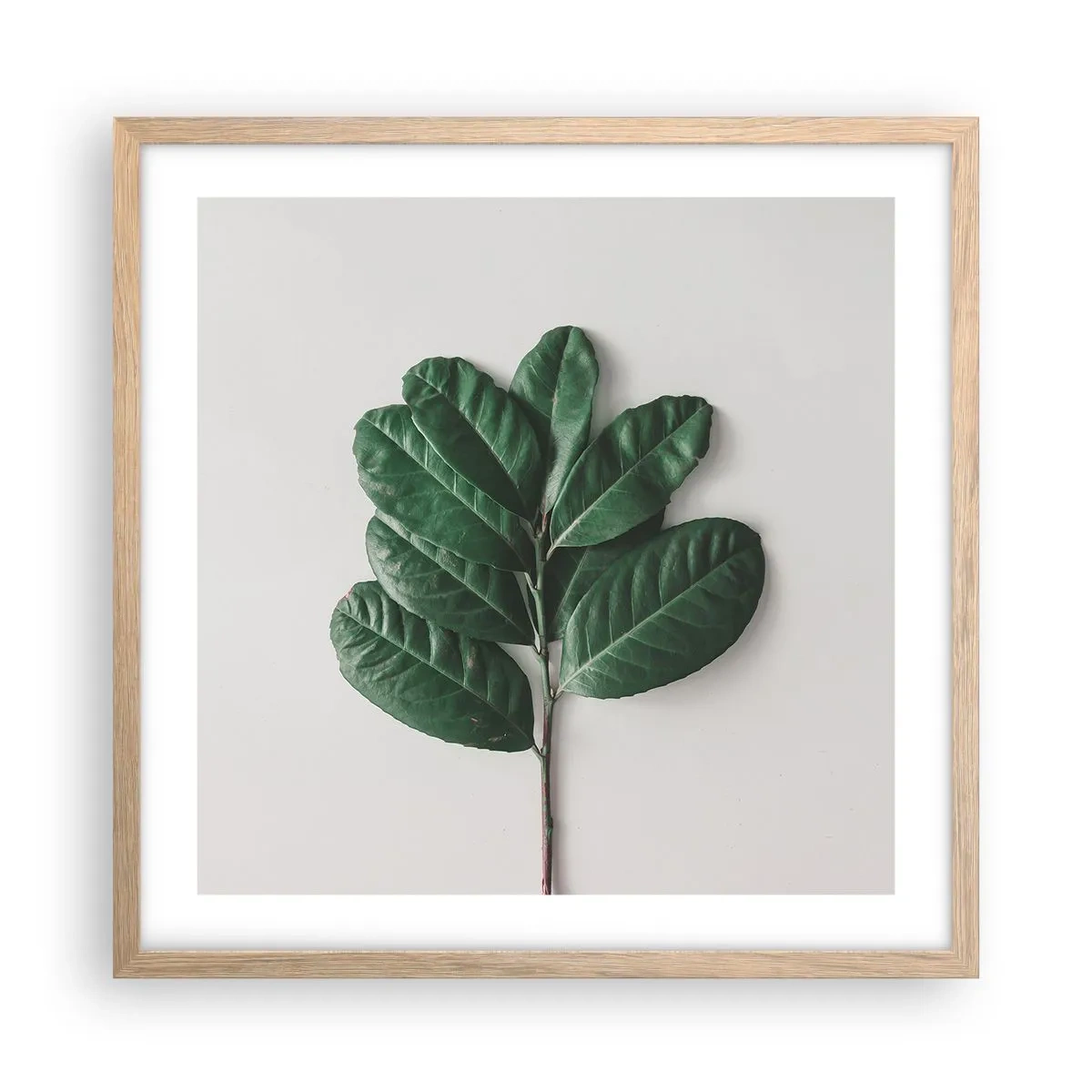 Poszter világos tölgy keretben - Rajz csak a természetről - 50x50 cm