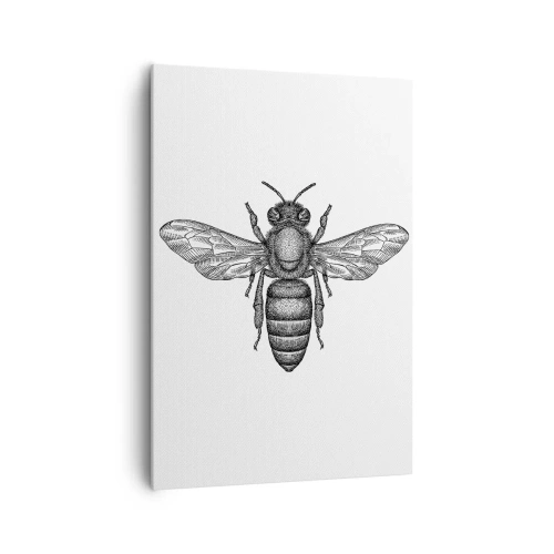 Vászonkép - Rovar portré - 70x100 cm
