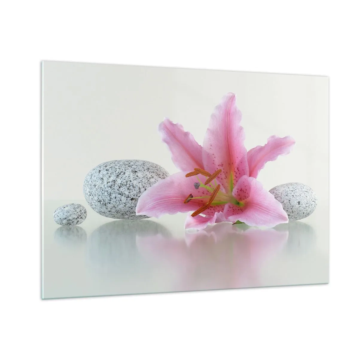 Üveg kép - Egy tanulmány rózsaszín, szürke és fehér színben - 100x70 cm